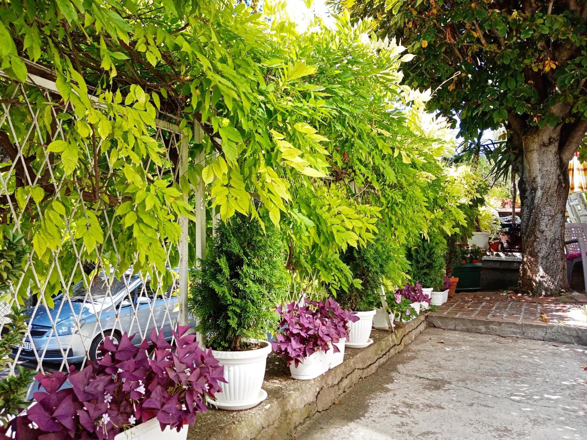 Belgrade Apartment Happy Garden Esterno foto
