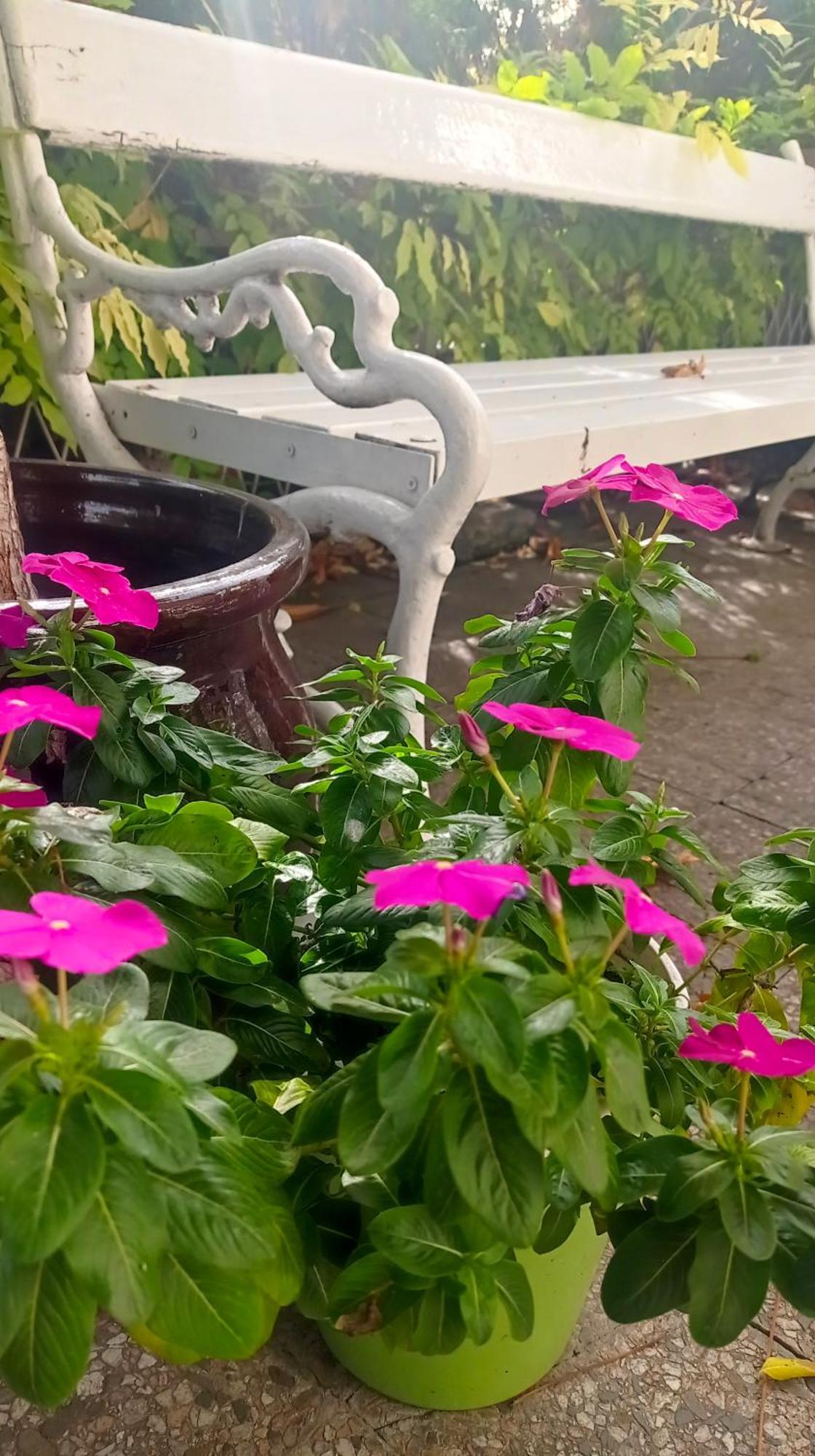 Belgrade Apartment Happy Garden Esterno foto