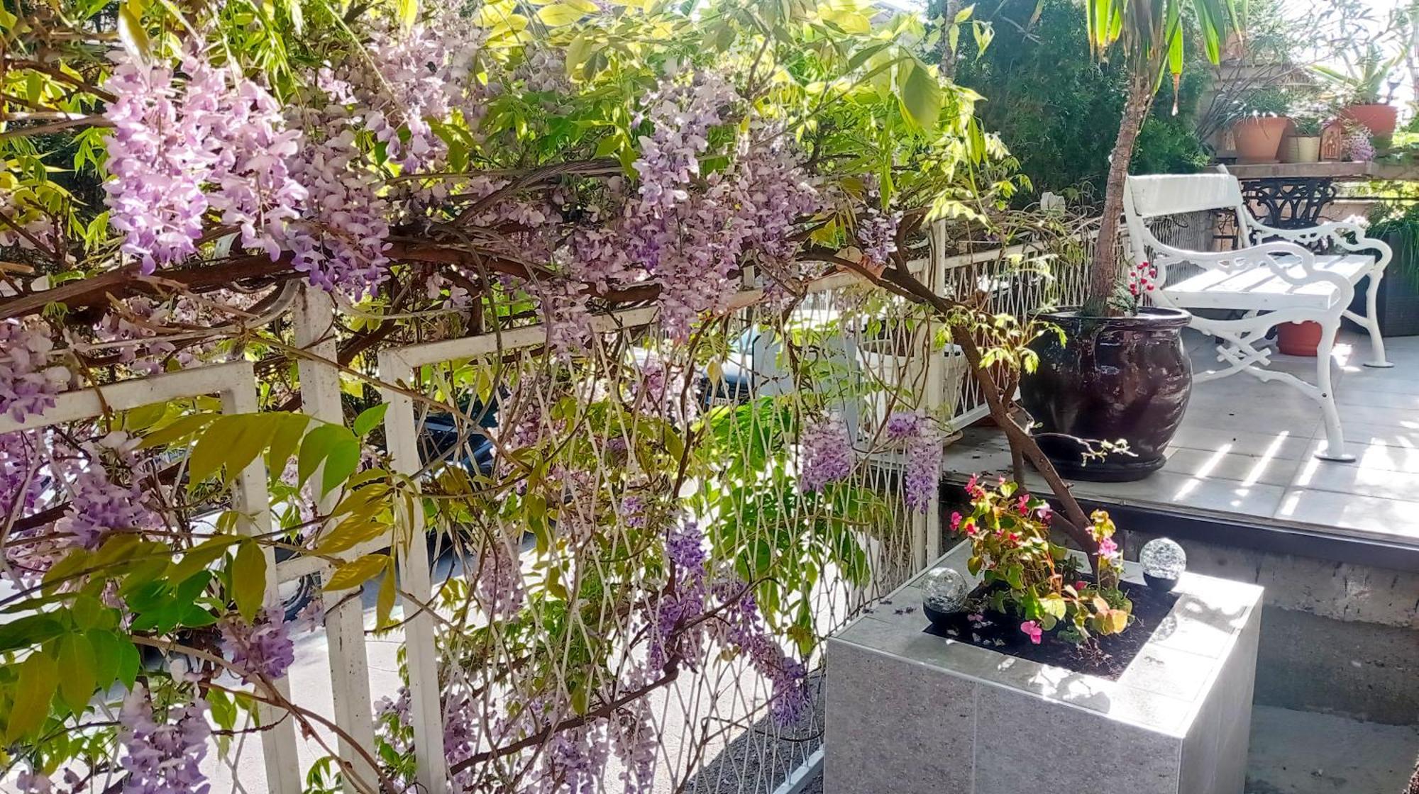 Belgrade Apartment Happy Garden Esterno foto
