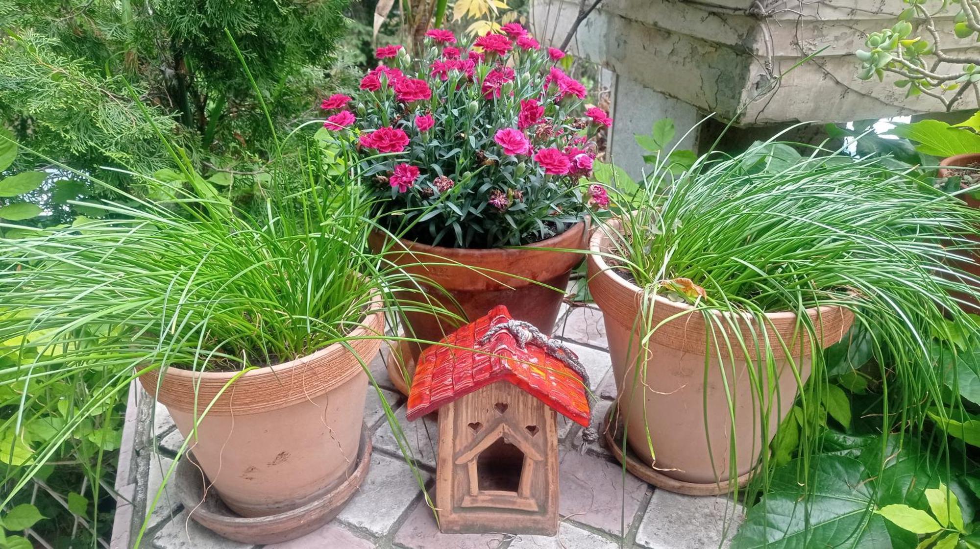 Belgrade Apartment Happy Garden Esterno foto